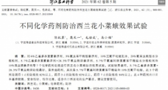 不同化學(xué)藥劑防治西蘭花小菜蛾效果試驗(yàn)